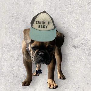 Small Dog Trucker hat